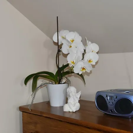 Appartement Przy Basenie Blisko Morza Brown
